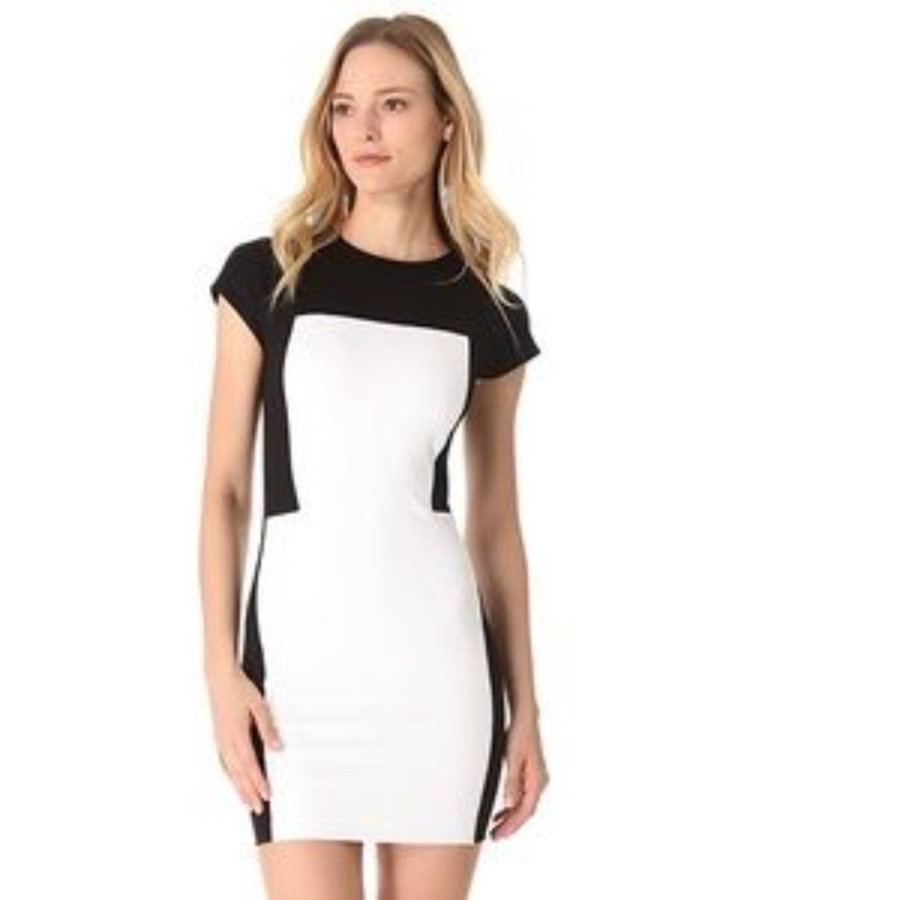 TORN Ronny Kobo Bodycon Colorblock Black White Dress